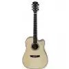 Dowina Bordeaux DCE-LB HyVibe