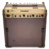 Fishman Loudbox Performer