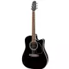 Takamine EF341 SC