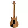 PRS SE Santana Abraxas Limited Edition