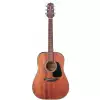 Takamine GLD11E-NS
