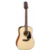 Takamine GLD12E-NS