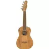 Fender Zuma Exotic Ukulele Spalted Maple