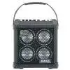Roland Micro Cube Bass RX