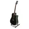 Takamine EG531SC