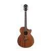 Ibanez AE295-LTD HGStaka