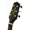 Takamine EG531SC