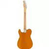 Fender Limited Edition Player Telecaster MN Aged Natural