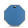 Kaline PPM100 12′′ 
