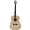 Morrison MBD100