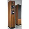 Acoustic Energy Aegis Neo 3