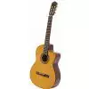 Takamine EG124C