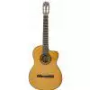 Takamine EG124C