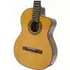Takamine EG124C