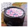 EVOLIGHTS SMOOTH PAR 12x10W RGBWA-UV LED - reflektor zewnętrzny IP65