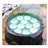 EVOLIGHTS SMOOTH PAR 12x10W RGBWA-UV LED - reflektor zewnętrzny IP65