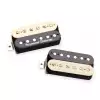 Seymour Duncan Green Magic Humbucker - Pickup Set - Zebra Seymour Duncan Green Magic Humbucker - Pickup Set - Zebra