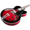 Ibanez Af75 Trs