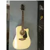 Takamine GD51CE-NAT