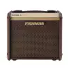 Fishman Loudbox Micro Pro