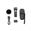ZooM H1N VP