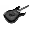 Ibanez GRG320FA-TKS