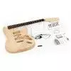 Harley Benton Strat Kit