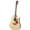 Taylor 110CE