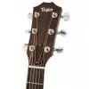 Taylor 110CE