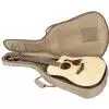 Taylor 110CE