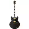 FGN Masterfield Semi Custom HH Black electric guitar