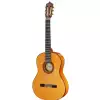 Artesano Flamenco S