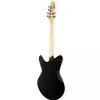 Schecter Ultra Cure Robert Smith