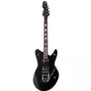 Schecter Ultra Cure Robert Smith