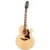 Takamine EG523SC