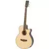 Tanglewood TR SF CE Tanglewood TR SF CE