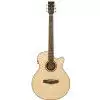 Tanglewood TR SF CE Tanglewood TR SF CE