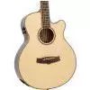 Tanglewood TR SF CE Tanglewood TR SF CE