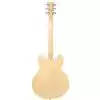 Tanglewood TSB 59 NA