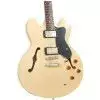 Tanglewood TSB 59 NA