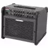 Fishman Loudbox 100