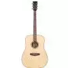 Tanglewood TR D Tanglewood TR D
