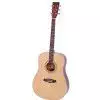 Tanglewood DBT DLX D