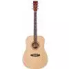 Tanglewood DBT DLX D