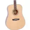 Tanglewood DBT DLX D