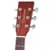 Tanglewood DBT DLX D