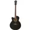 Ibanez AEL10E-BK Left