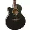 Ibanez AEL10E-BK Left