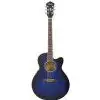 Ibanez AEL 20 E TB