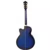 Ibanez AEL 20 E TB